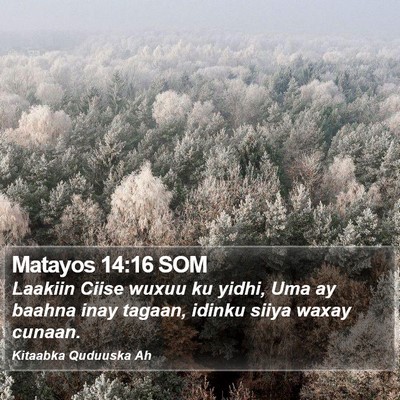 Matayos 14:16 SOM Bible Verse Image
