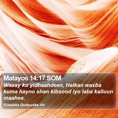 Matayos 14:17 SOM Bible Verse Image