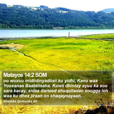 Matayos 14:2 SOM Bible Verse Image
