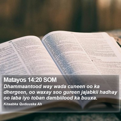 Matayos 14:20 SOM Bible Verse Image