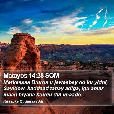Matayos 14:28 SOM Bible Verse Image
