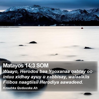 Matayos 14:3 SOM Bible Verse Image