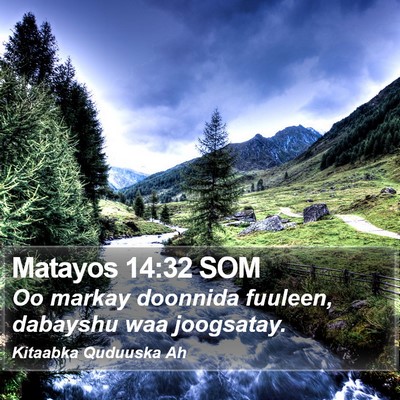 Matayos 14:32 SOM Bible Verse Image