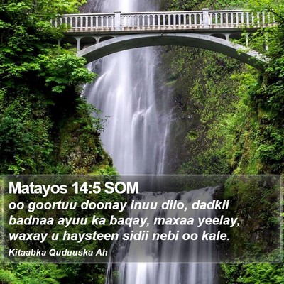 Matayos 14:5 SOM Bible Verse Image