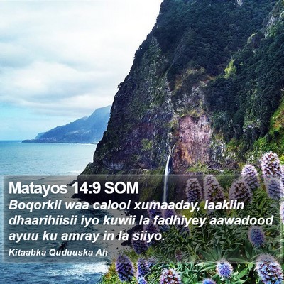 Matayos 14:9 SOM Bible Verse Image