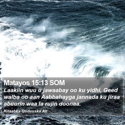 Matayos 15:13 SOM Bible Verse Image