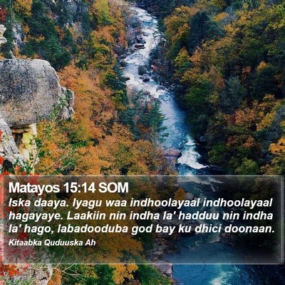 Matayos 15:14 SOM Bible Verse Image