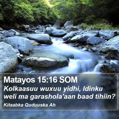 Matayos 15:16 SOM Bible Verse Image