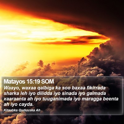 Matayos 15:19 SOM Bible Verse Image