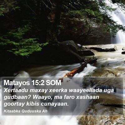 Matayos 15:2 SOM Bible Verse Image