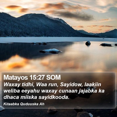 Matayos 15:27 SOM Bible Verse Image