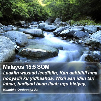 Matayos 15:5 SOM Bible Verse Image