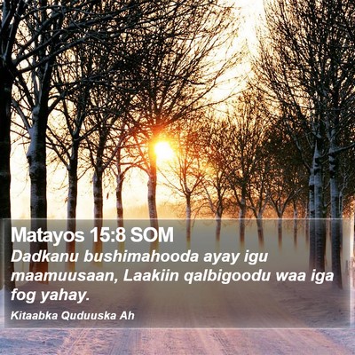 Matayos 15:8 SOM Bible Verse Image