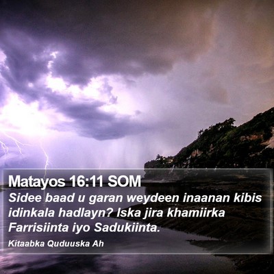 Matayos 16:11 SOM Bible Verse Image