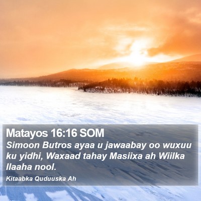 Matayos 16:16 SOM Bible Verse Image