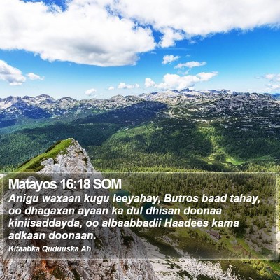 Matayos 16:18 SOM Bible Verse Image
