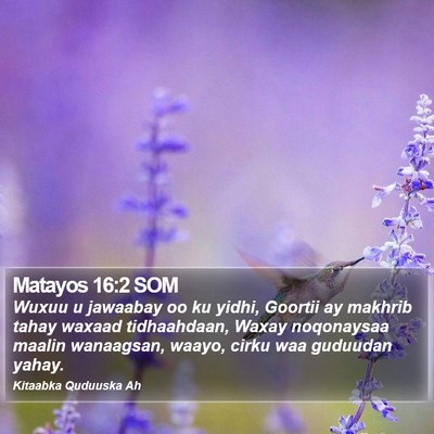 Matayos 16:2 SOM Bible Verse Image
