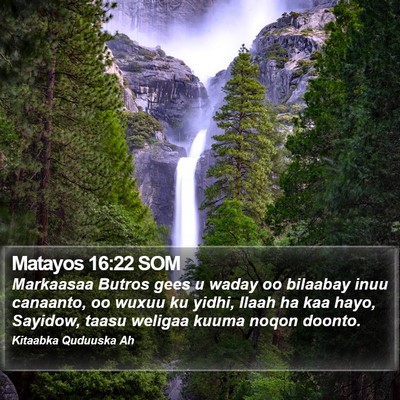 Matayos 16:22 SOM Bible Verse Image