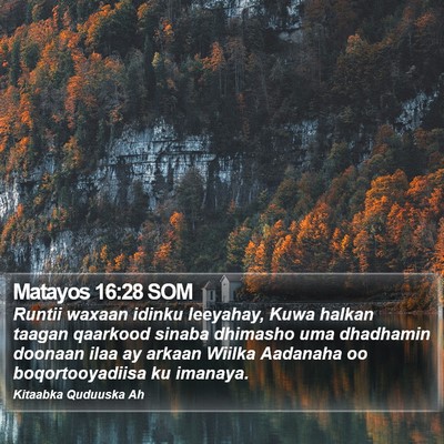 Matayos 16:28 SOM Bible Verse Image