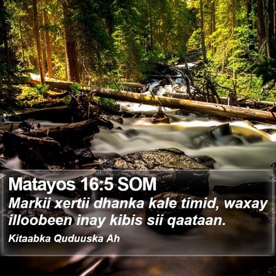 Matayos 16:5 SOM Bible Verse Image
