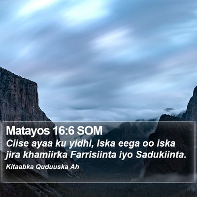 Matayos 16:6 SOM Bible Verse Image