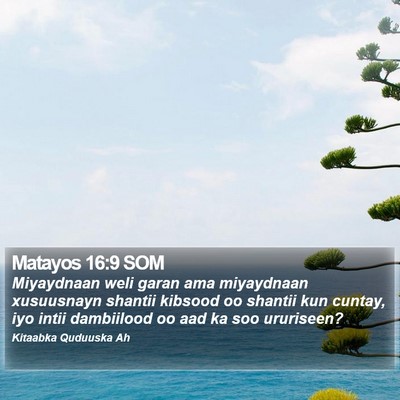 Matayos 16:9 SOM Bible Verse Image
