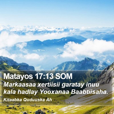 Matayos 17:13 SOM Bible Verse Image
