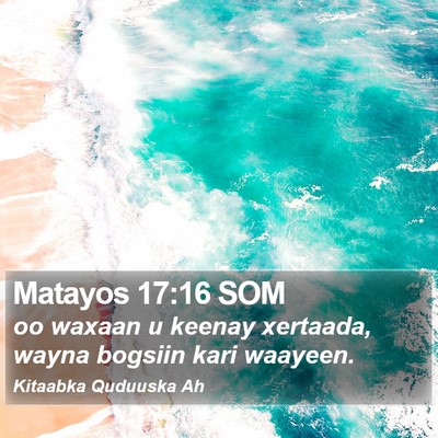 Matayos 17:16 SOM Bible Verse Image