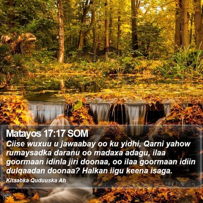 Matayos 17:17 SOM Bible Verse Image