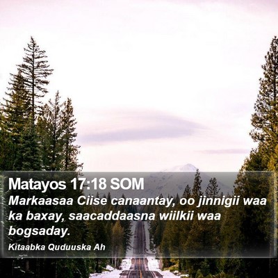 Matayos 17:18 SOM Bible Verse Image