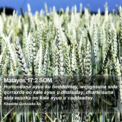 Matayos 17:2 SOM Bible Verse Image
