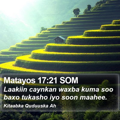 Matayos 17:21 SOM Bible Verse Image