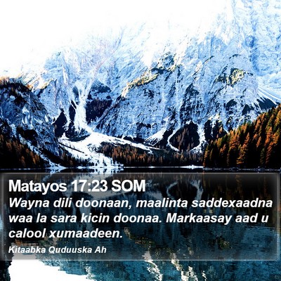 Matayos 17:23 SOM Bible Verse Image