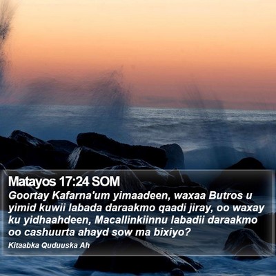 Matayos 17:24 SOM Bible Verse Image