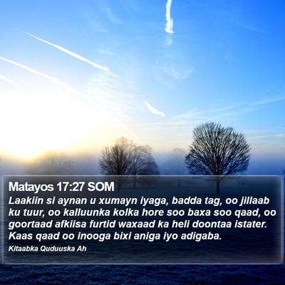 Matayos 17:27 SOM Bible Verse Image