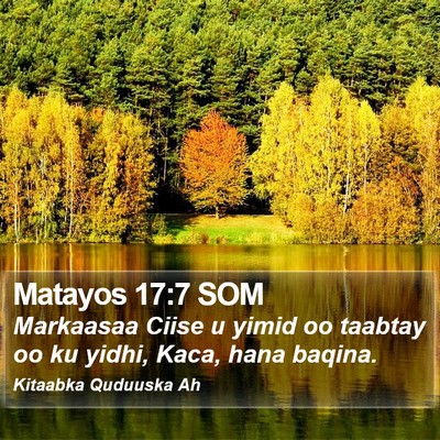 Matayos 17:7 SOM Bible Verse Image
