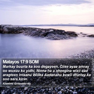 Matayos 17:9 SOM Bible Verse Image