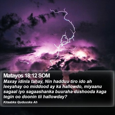 Matayos 18:12 SOM Bible Verse Image