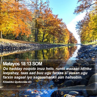 Matayos 18:13 SOM Bible Verse Image