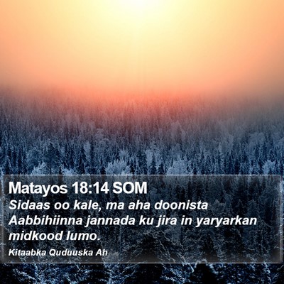 Matayos 18:14 SOM Bible Verse Image