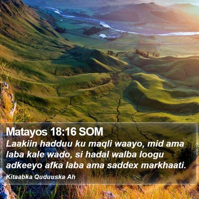 Matayos 18:16 SOM Bible Verse Image