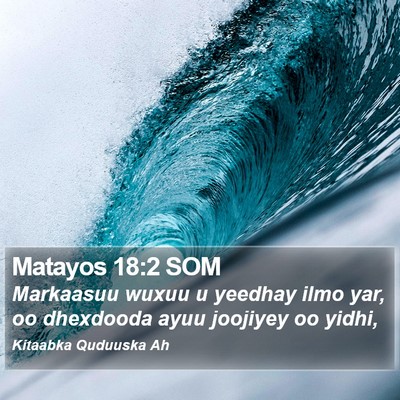 Matayos 18:2 SOM Bible Verse Image