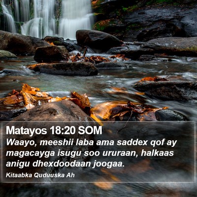 Matayos 18:20 SOM Bible Verse Image