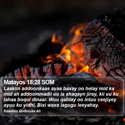 Matayos 18:28 SOM Bible Verse Image