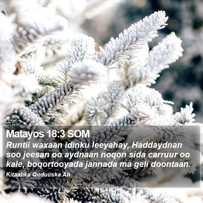 Matayos 18:3 SOM Bible Verse Image