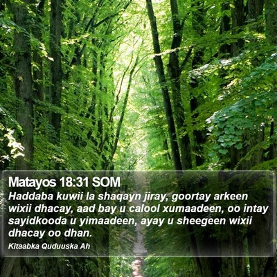 Matayos 18:31 SOM Bible Verse Image