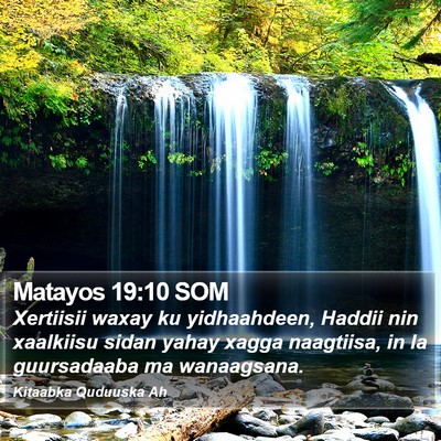 Matayos 19:10 SOM Bible Verse Image