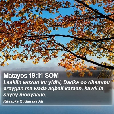 Matayos 19:11 SOM Bible Verse Image