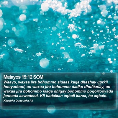 Matayos 19:12 SOM Bible Verse Image