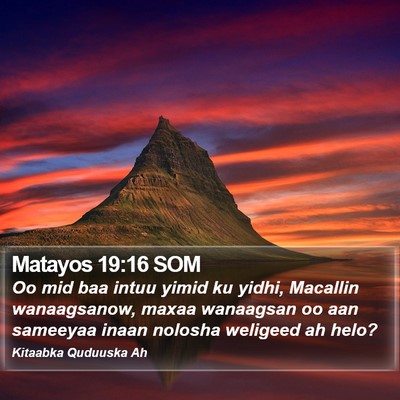 Matayos 19:16 SOM Bible Verse Image